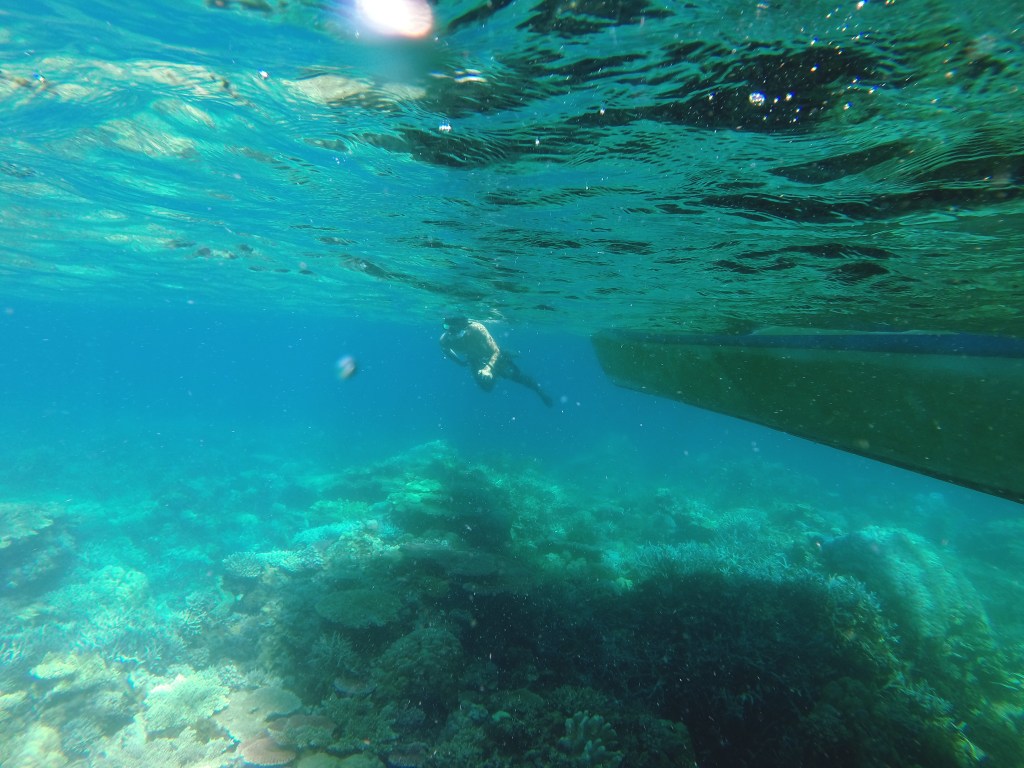 DCIM100GOPRO