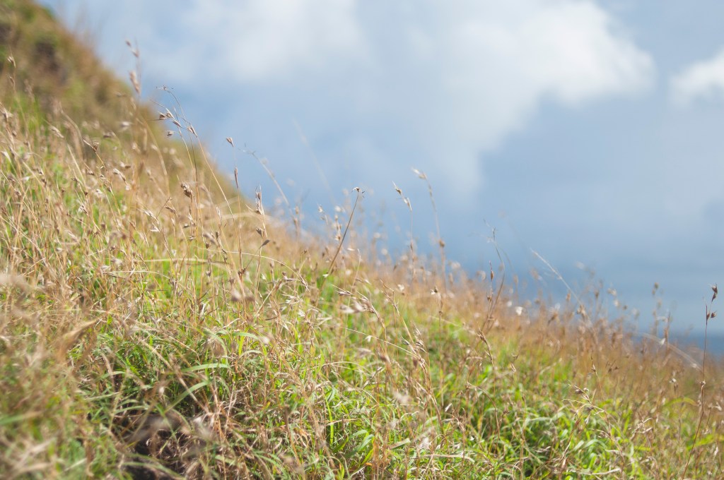 Cagayan Photo Diary 5