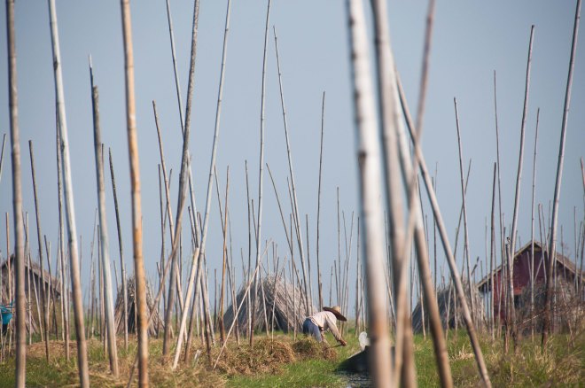 Inle Lakenef_18