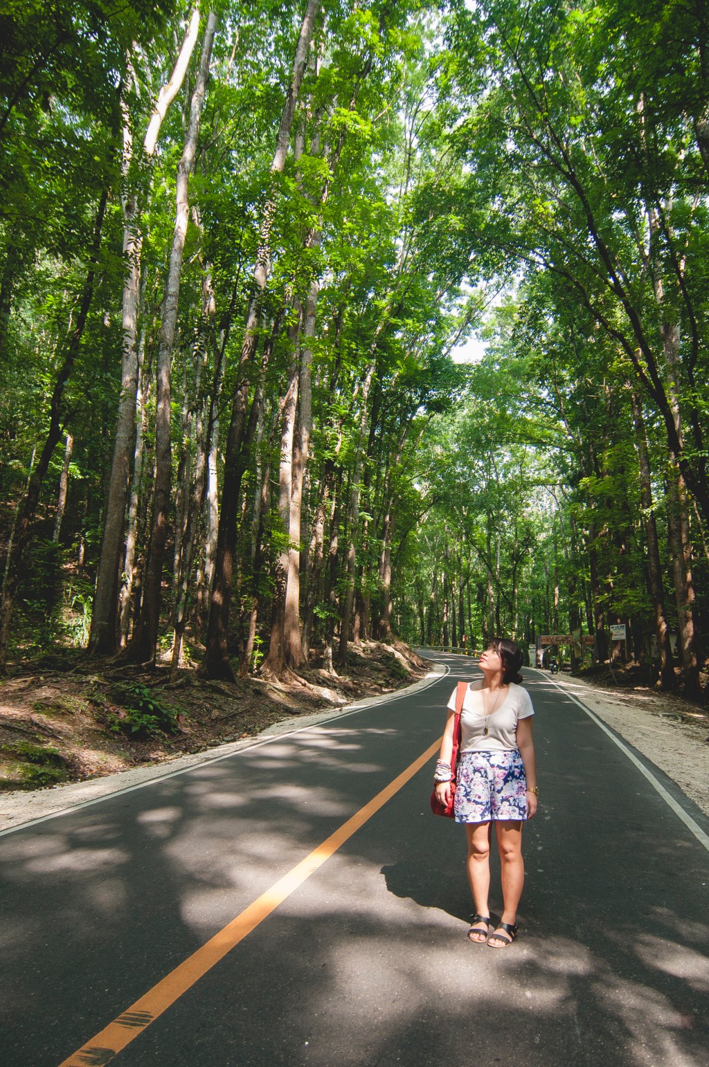 Getting to Know&nbsp;Bohol
